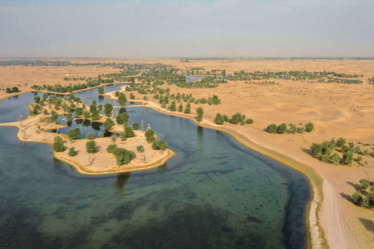 Al Qudra Lake in Dubai Explore Outdoor Activities to Do