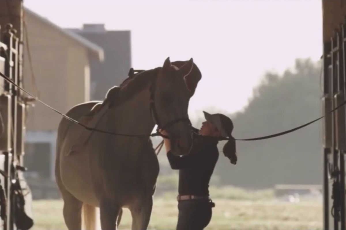 mushrif park horse riding