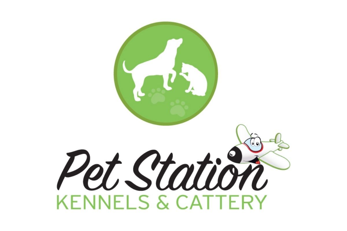 Dubai's Pet Paradise: Boarding Facilities that Your Pets Will Love