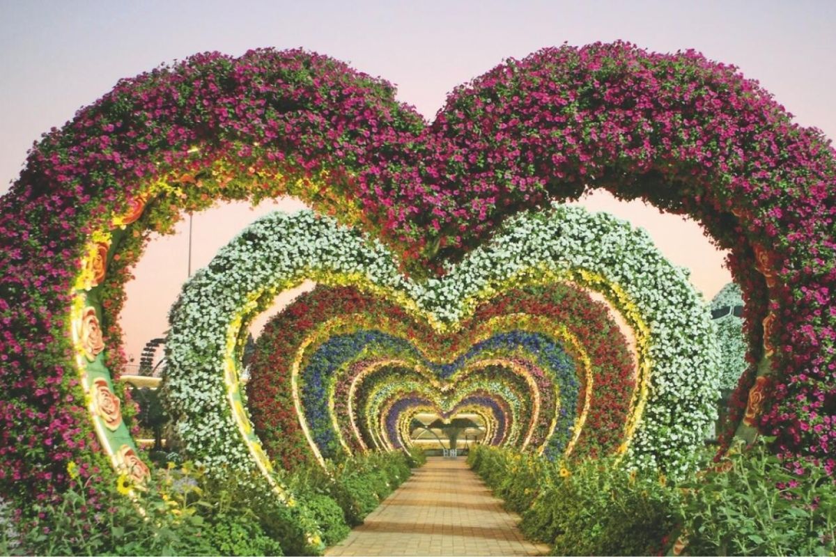 Dubai Miracle Garden Reopens For Its 12th Season; Tickets, Timings & More