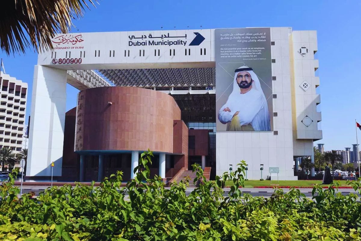 DUBAI MUNICIPALITY SERVICES visual data 3