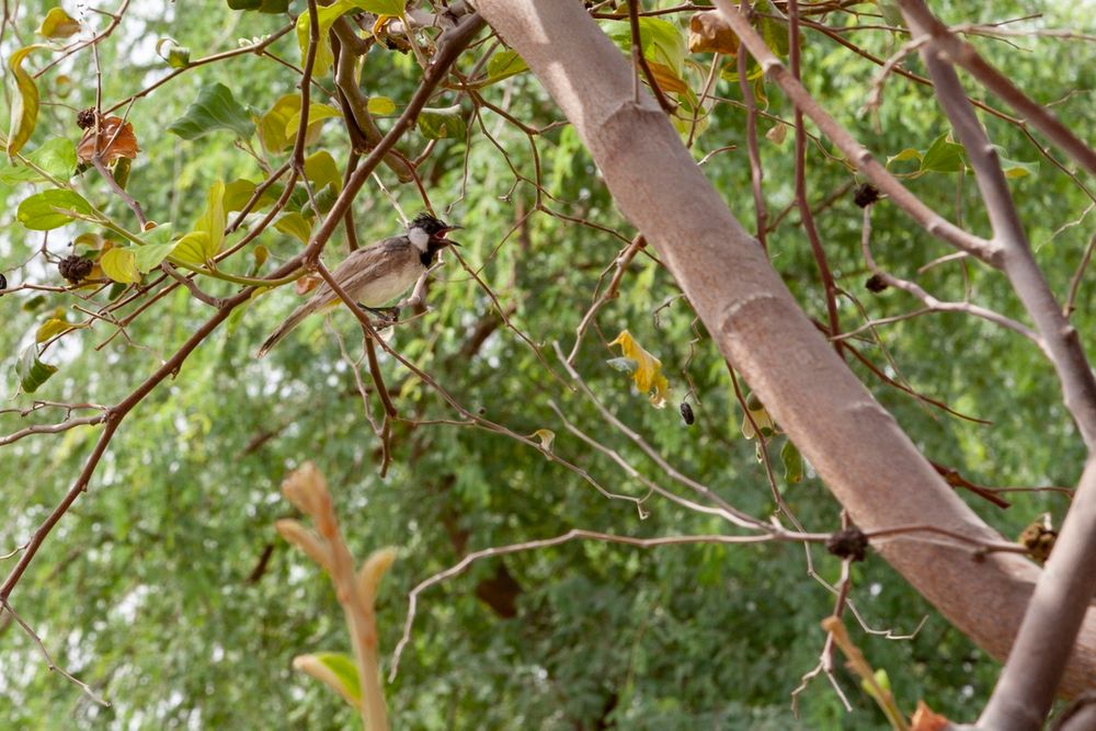 ‘Sustainable City’ deploys monitoring equipment to measure biodiversity impact