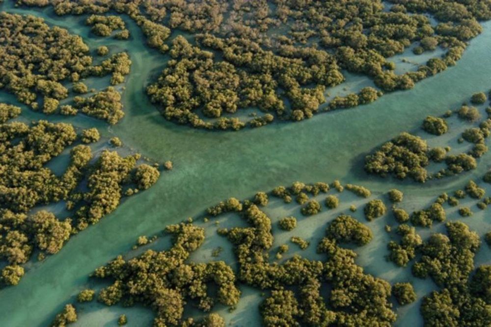 UAE hotels to screen National Day celebrations