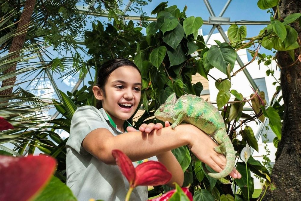 The Ultimate Sustainable and Eco-Friendly Winter Camp