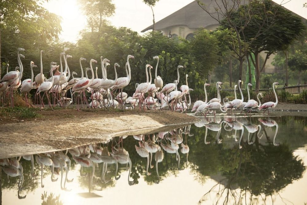 Dubai Safari Park to organise winter camp to enhance children's awareness of nature & animals