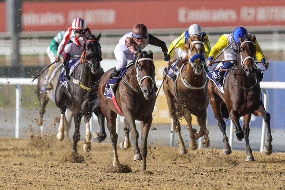 Emirates Racing Authority launches 'Racing Oscar Awards'