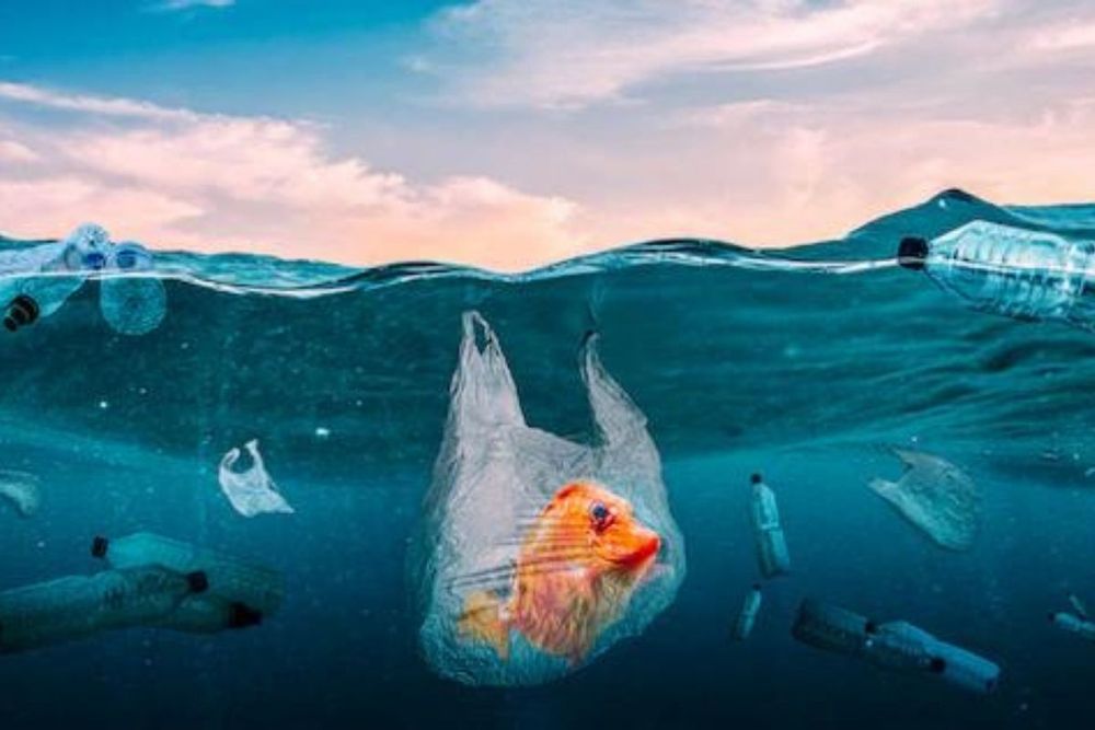 UAE Press: Tackling Plastic Waste to Save the World