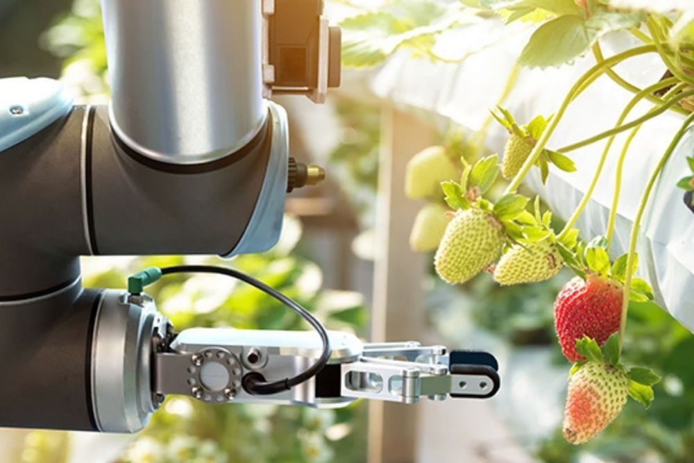 ‘Food for Life’ Campaign launched to drive nation towards healthier diets from sustainable foods