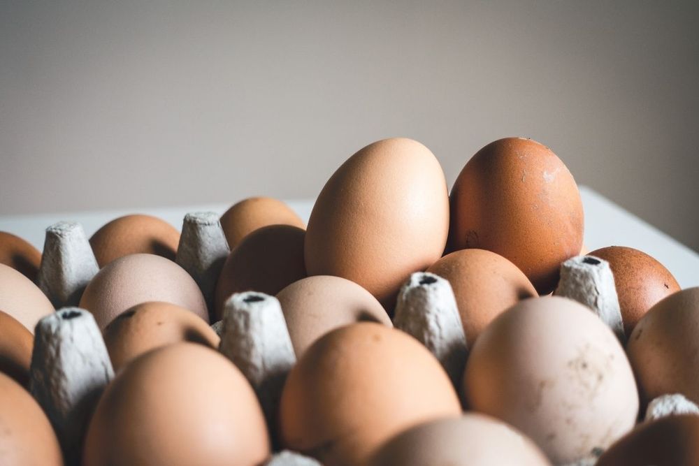 Carrefour to sell only 'cage-free' eggs in accordance to Animal Welfare