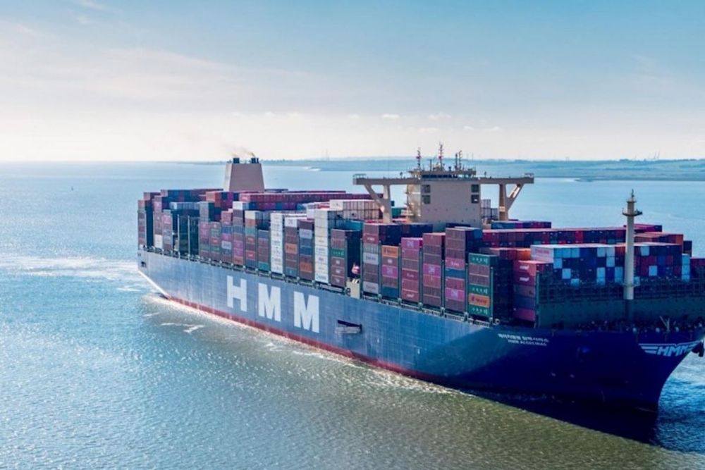 DP World: record results as EBITDA increases 15% to $3.8 billion