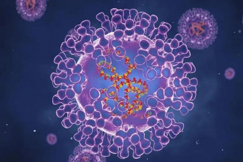 UAE is prepared to deal with monkeypox, says Ministry of Health