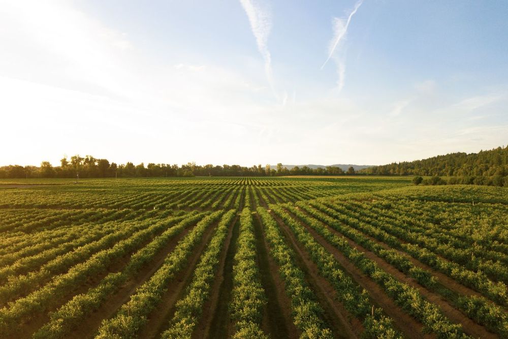 UAE Ministry of Climate Change signs MoU with Philippines department of agriculture to develop agricultural sector