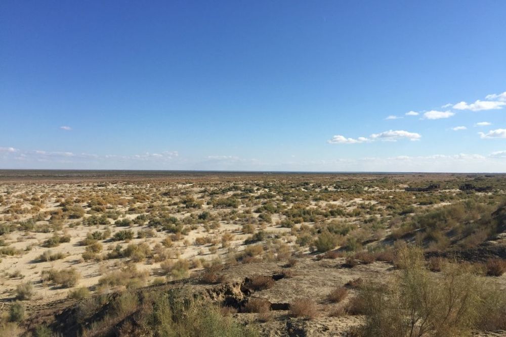 New project launched to foster agri-production in degraded areas of Aral Sea basin