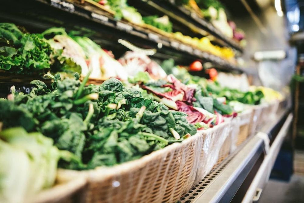 New food import channel to make groceries cheaper, fresher: DM