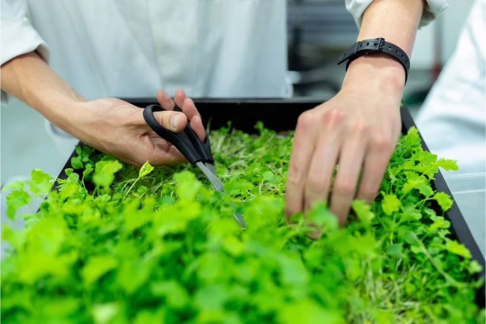 COP28: ‘Dubai Way’ course upgrades to support Dubai’s sustainability drive