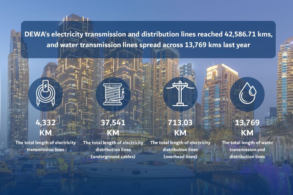 DEWA's electricity, water transmission and distribution lines grows substantially in 2022