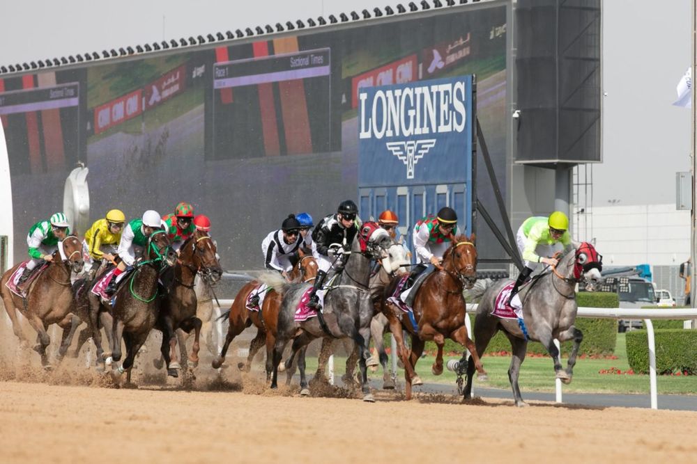 Dubai World Cup 2023: Prize money, race card and how to watch in UAE