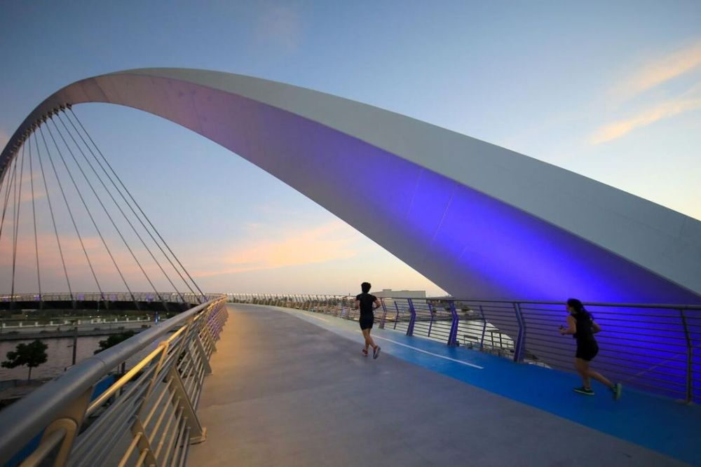 New Cruise Experience in Dubai: Details on Cost, Route, and What to Expect