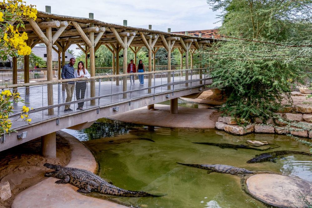 Dubai Crocodile Park invites visitors to turn fear into educational fascination