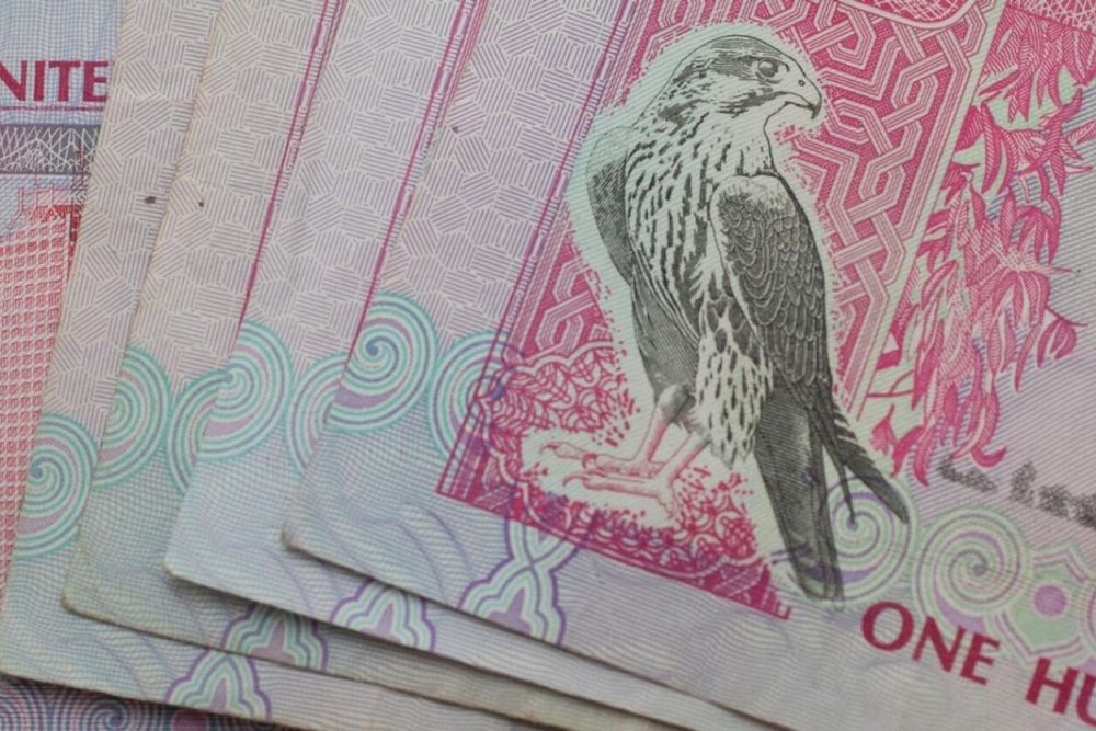 Warning Issued by Police: Sheltering Delinquent Minors in UAE Could Incur a Minimum Fine of Dh50,000