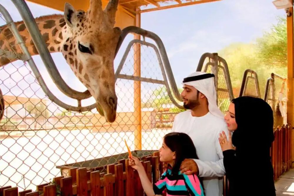 Famous Zoos in the UAE: Dubai Safari Park, Al Ain Zoo & More