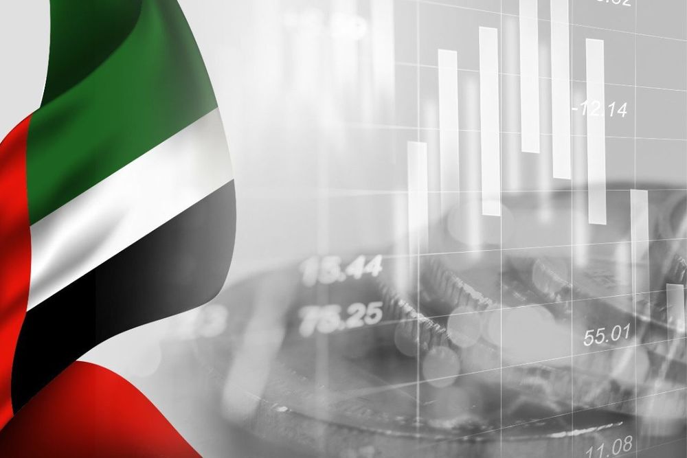 Institutional investors invest AED8 billion in UAE stocks since start of 2023