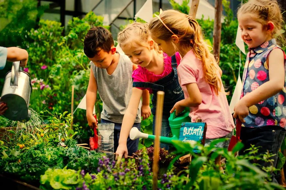 UAE: 5 fruits you can grow in your backyard this winter season