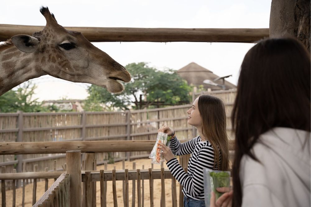 Dubai Safari Park to open its doors for a new season on October 5