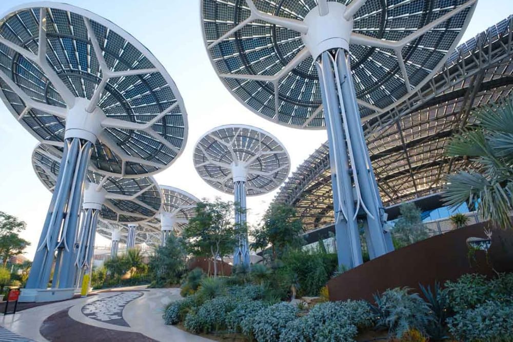 Dubai Municipality Set to Announce Environmental Commitments and New Projects at COP28