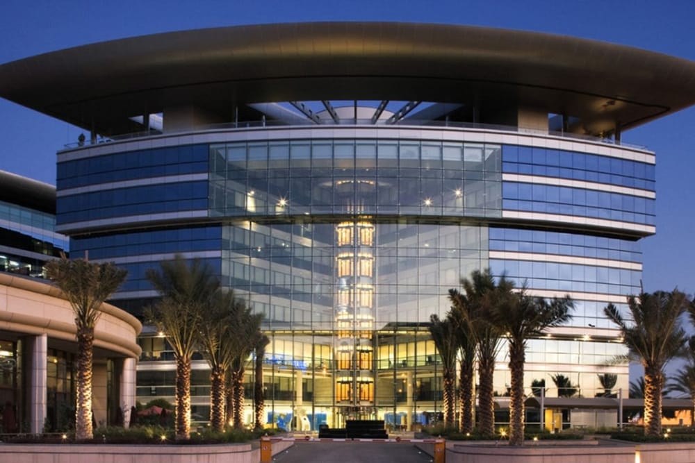 DAFZ Reinforces its Position as a Key Driver of National Sustainability Strategies