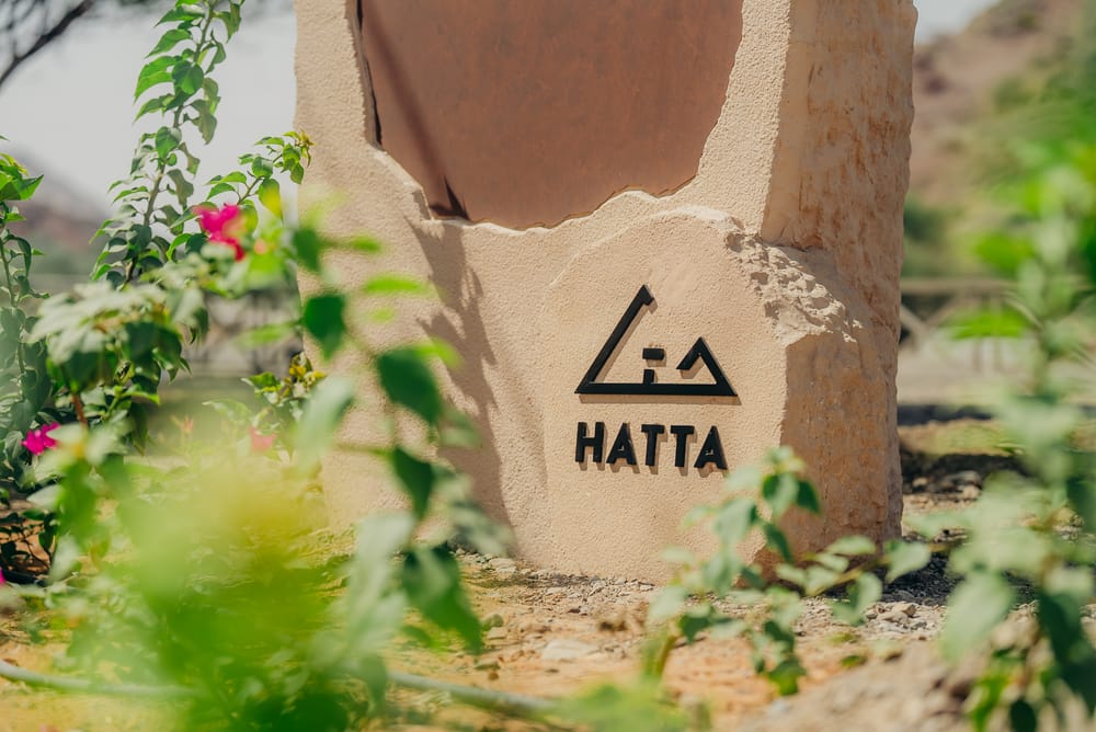 Dubai Municipality Launches 8th Edition of 'Hatta Honey Festival' to Promote Beekeeping Industry