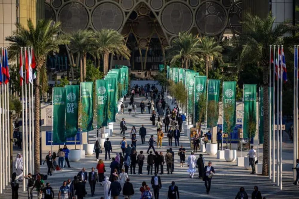 COP28 Showcases Global Participation: Voices of Women, Youth, and Indigenous Peoples Resonate in Climate Discourse