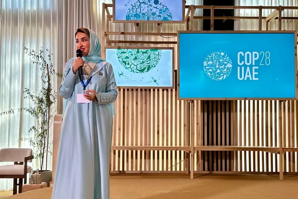 MoHAP Showcases Results of Carbon Emissions Analysis of Healthcare Facilities at COP28