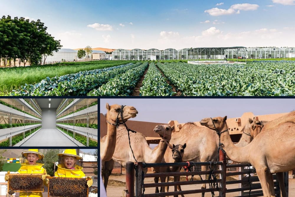 Top Farms to Visit in the UAE