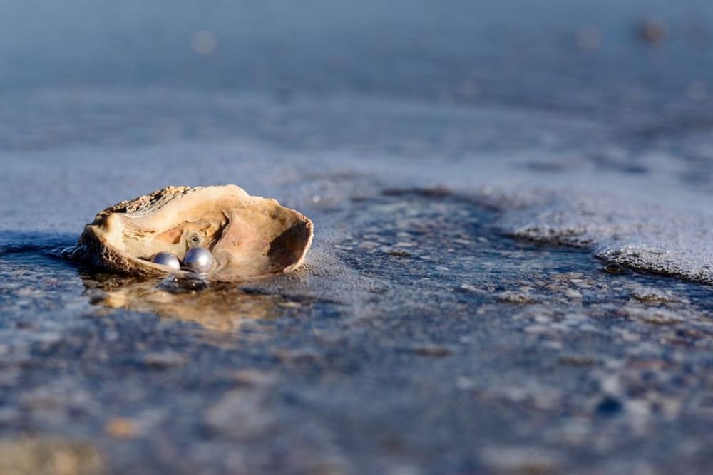 Everything You Need to Know About Pearl Diving in the UAE