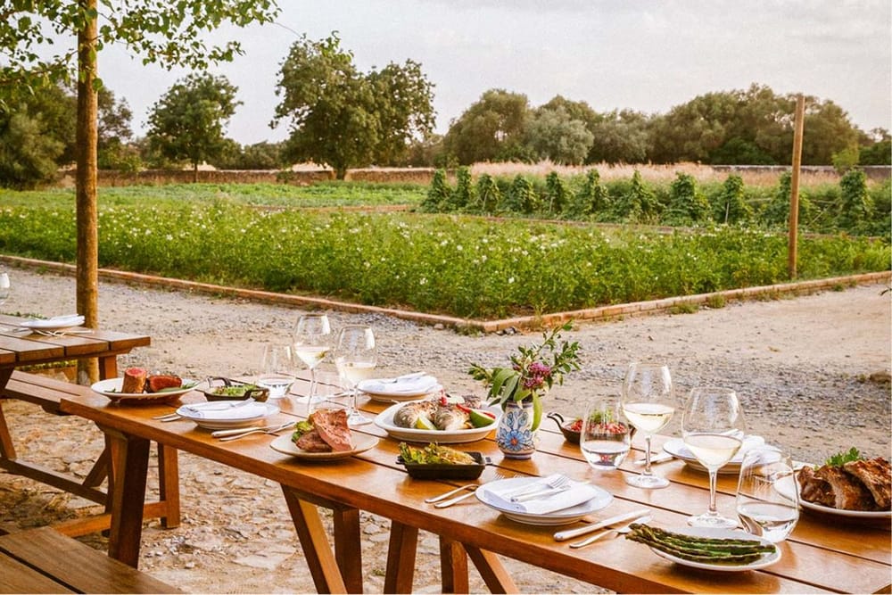 The Essence of Hospitality in the UAE: Savoring Sustainability: Top Farm-to-Table Restaurants in Dubai You Need to  Visit