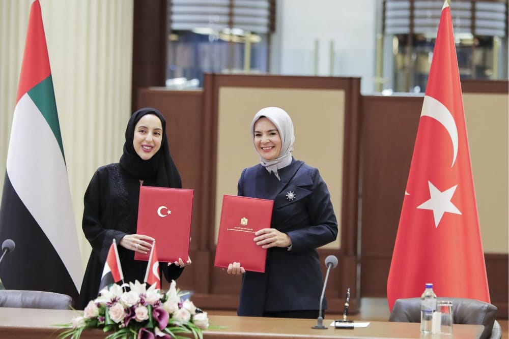 UAE and Türkiye Sign MoUs to Redevelop Children's Complex in Istanbul