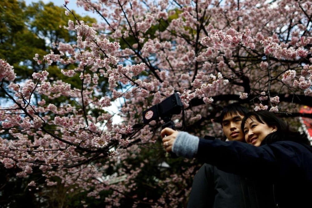 UAE: 10 Budget-Friendly Travel Destinations to Visit in 2025