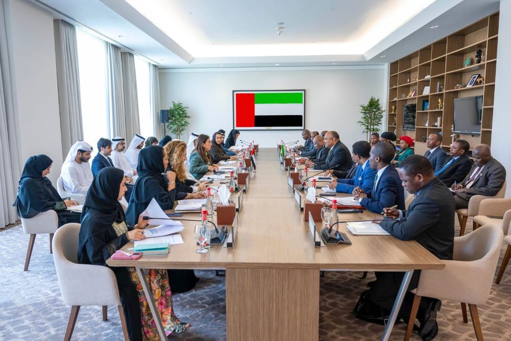 UAE and Tanzania Hold Inaugural Political Consultations