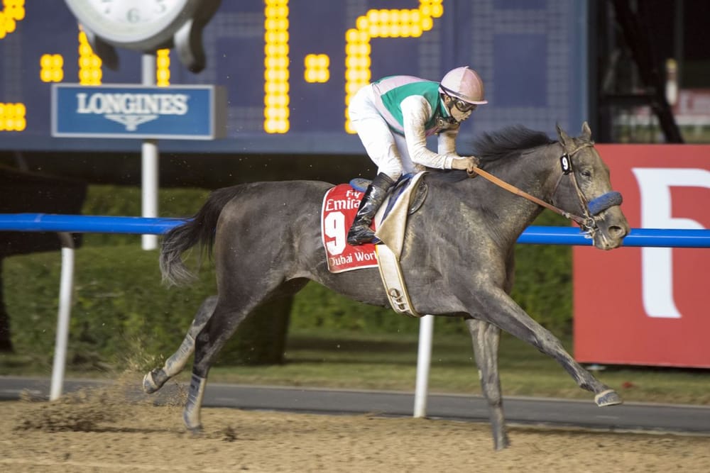 Dubai Racing Club Partners with Breeders’ Cup for Automatic Berths