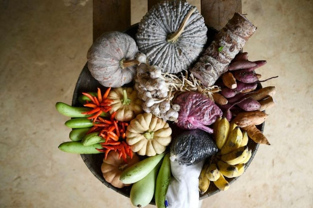 UAE Launches Comprehensive Food Assessment System in Collaboration with FAO