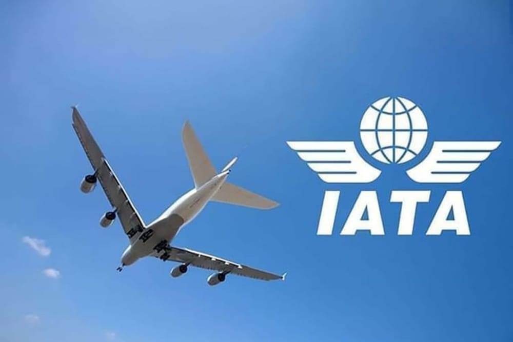 International Passenger Growth Hits 5% in May: IATA