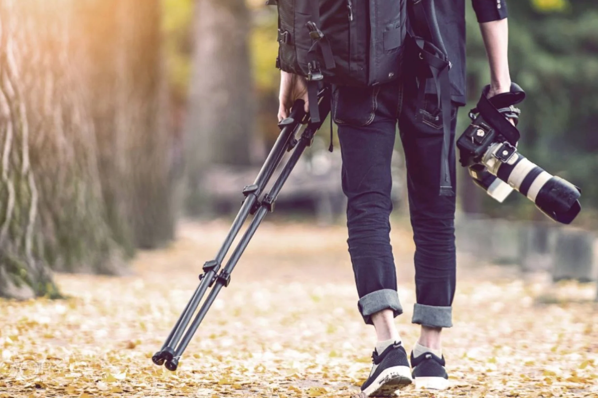 Art vs. Algorithm: The Silent Struggle of Photographers and Videographers