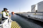 DP World Advances Marine Habitat Restoration With Living Seawalls at Jebel Ali Port
