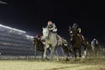 Dubai World Cup Draws Global Field to Meydan Racecourse