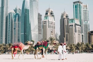 How to Obtain a Tour Guide License in the UAE: Fees and Process Explained