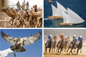 Traditional sports in UAE: Falconry, Archery & More