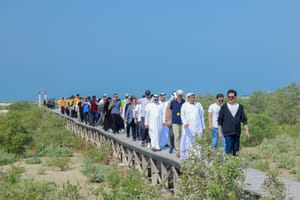 DEWA and Emirates Marine Environmental Group Plant Over 13,000 Mangrove Trees at Jebel Ali Sanctuary