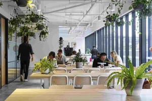 The Benefits of Co-working Spaces for Entrepreneurs