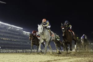 Dubai World Cup Draws Global Field to Meydan Racecourse